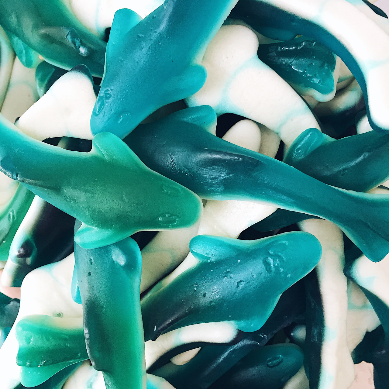 Jellopy Dolphin Shurk/ Дельфины Акула 0,9кг